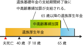 �ȁE30�Ζ����E�q����̈⑰�����N��